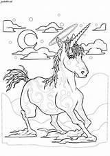 Licorne Unicorni Coloriage Unicorns Licornes Adulti Coloriages Imprimer 1255 Speeding Erwachsene Malbuch Adults Magnificent Beast Dreams Einhorn Zentangle Justcolor sketch template