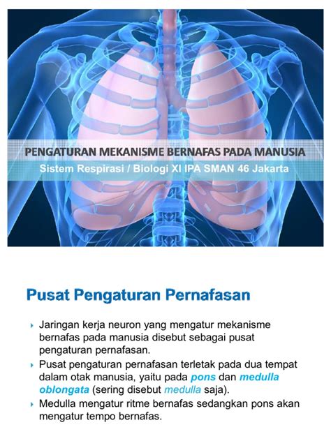 pengaturan mekanisme bernafas manusia