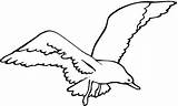 Seagull Coloring Pages Cartoons Gull California Seagulls Drawing Printable Flight Clipart Drawings Supercoloring sketch template