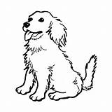 Cachorros Desenhar sketch template