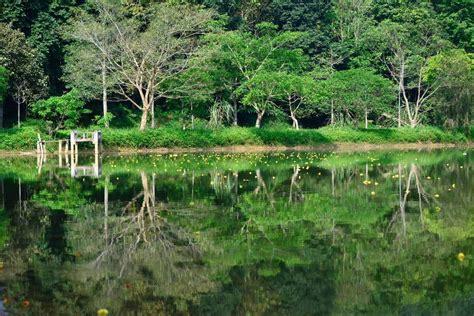 cuc phuong national park vietnam  handy guide expatolife