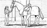 Pferde Ausmalbilder Ausmalen Malvorlagen Kinder Zum Ausdrucken Und Kostenlos Für Von Kostenlose Tiere Gemerkt Vorlagen sketch template