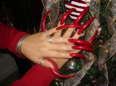 long red long red nails curved nails long fingernails