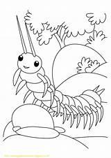Mewarnai Serangga Anak Tk Paud Macam Berbagai Aneka Temukan Anda sketch template