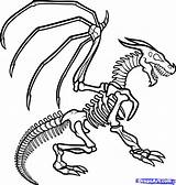 Skeleton Dragon Dinosaur Coloring Pages Bones Drawing Draw Clipart Clip Fossil Drawings Animal Step Clipartpanda Approved Skele Preschool Getcolorings Printable sketch template