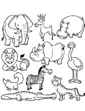 animals coloring pages  children coloruring books