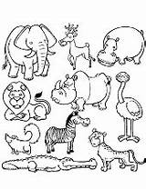 Coloring Animals Pages Kids Animal Printable Topcoloringpages Predators sketch template