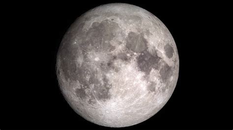 goco el agua en la luna podria ser generalizada  inmovil