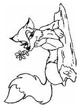 Foxes Kids Coloring Fun Pages Vos sketch template
