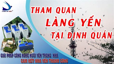 tham quan làng yến tại Định quán youtube