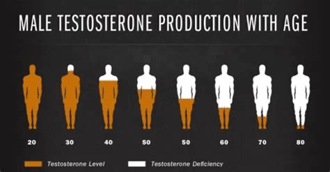 What Is Average Testosterone Level By Age Know The Ranges