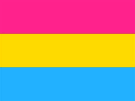 pansexual flag 3x5ft pride polyester flag bisexual asexual pansexual