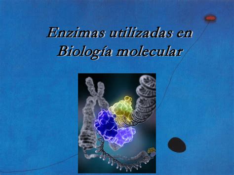 Enzimas Utilizadas En Biología Molecular