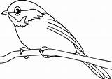 Burung Mewarnai Untuk Yang sketch template