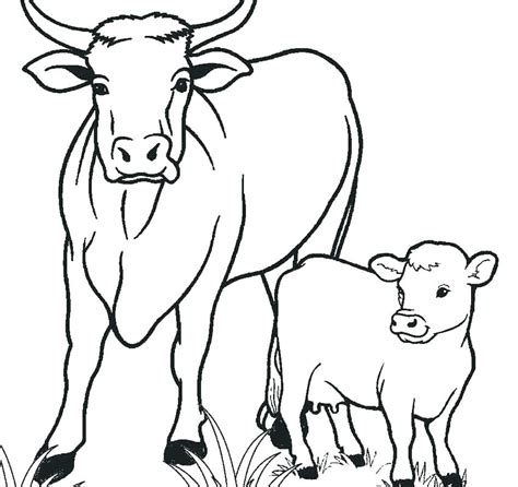 highland  pages coloring pages