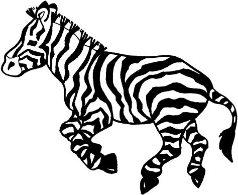 zebra coloring pages    print