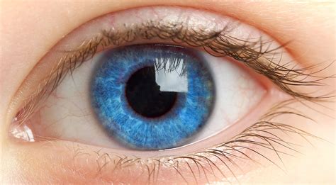 finnish scientists  created  artificial iris   eye
