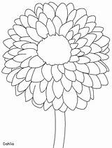 Coloring Dahlia Malvorlagen sketch template