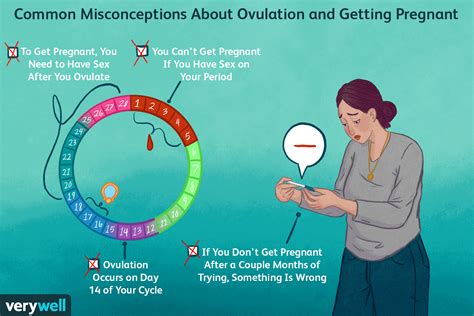 16 truths about getting pregnant and ovulation