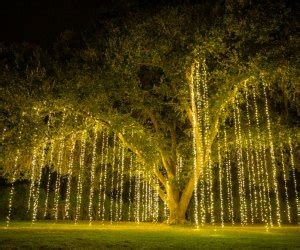 enchanting christmas lights  los angeles gorgeous gardens