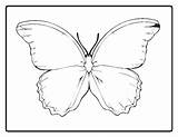 Butterfly Blank Coloring Pages Outline Getcolorings sketch template