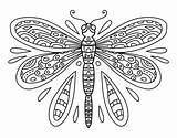 Dragonfly Insect Insects sketch template