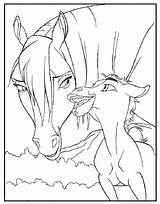 Kleurplaten Paarden Kleurplaat Veulen Veulens Paard Pony Ponys Downloaden Uitprinten Terborg600 sketch template