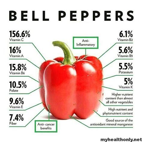 Bell Pepper Calories Nutrition Facts And Vitamins My