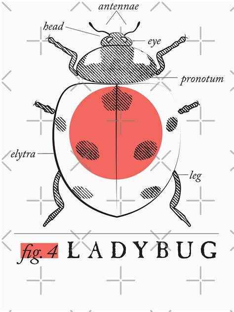 fig  anatomy   ladybug  shirt  mudandmarrow redbubble