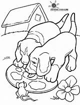 Hund Fargelegging Fargelegg Tegninger sketch template