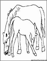 Foal Coloring Horse Pages Mother Its Color Library Clipart Line sketch template