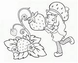 Erdbeer Shortcake Puppen Fresita Malbögen Mürbeteig Malvorlagen Erdbeerkuchen Malbuch Weinkaraffe Malbücher Handwerk sketch template
