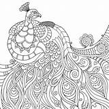 Mindfulness Coloring Pages Kids Mindful Printable Peacock Book Animals Drawing Colouring Color Worksheets Bestcoloringpagesforkids Animal Easy Adults Adult Print Books sketch template
