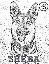 Sheba Rescue Coloring Pages Pdf Animal sketch template