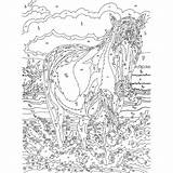 Zahlen Erwachsene Vorlagen Pferde Ziemlich Pferd Wunderbar Ausmalbilder Limitierte Auflage Malvorlagen Mammut Gross Klein Ausdrucken Katze Dillyhearts sketch template
