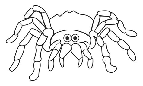 printable halloween spider coloring pages