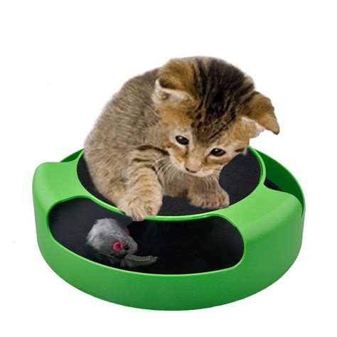 interactive cat toys product testing group