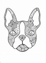 Bulldog Mandalas Zentangle Perros sketch template