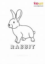 Worksheets Kidpid Rabbit sketch template