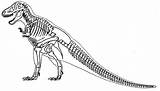 Esqueleto Dinosaur Tyrannosaurus Dinosaurio Coloringonly Tirano Saurio Pintar Dinossauro Skeletons sketch template