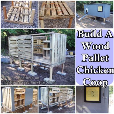 build  lone grove wood pallet chicken coop