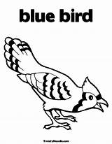 Coloring Bird Pages Blue Birds Printable Kids Cartoon Colour Jay Preschoolers Book Bluey Bluebird Clipart Comments Print Popular Coloringhome Library sketch template
