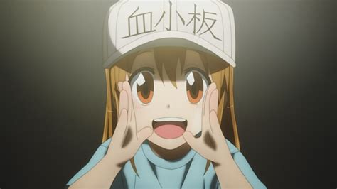 Hataraku Saibou Umumkan Anime Pendek Platelet Untuk