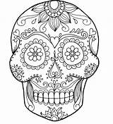 Skull Coloring Pages Crossbones Pirate Bones Adults Printable Getcolorings Rose Sugar Roses Color Getdrawings Colorings Skulls sketch template
