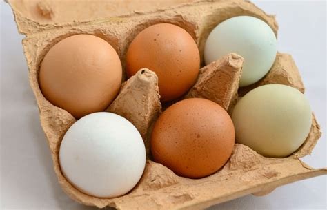 mitos populares sobre los huevos salud