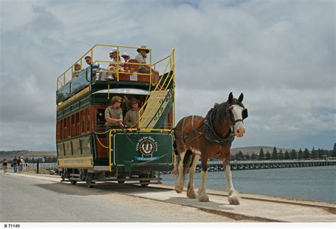 horse drawn tram photograph state library  south australia