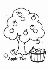 Coloring Pages Tree Apple Kids sketch template