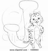 Jaguar Outlined Coloring Illustration Royalty Clipart Bnp Studio Vector sketch template