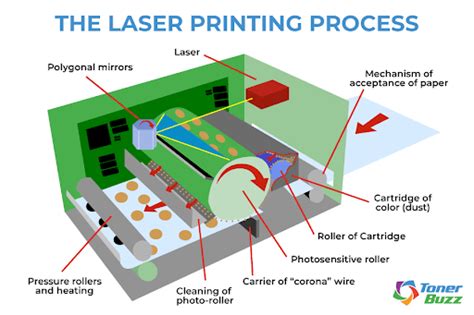 laser printers work  laser printing process toner buzz