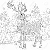 Stag Coloring Designlooter Deer Reindeer Antistress Stylized Sketch Cartoon Adult Christmas Book 82kb 1300 1300px sketch template